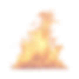 Efe Reyon | About Us