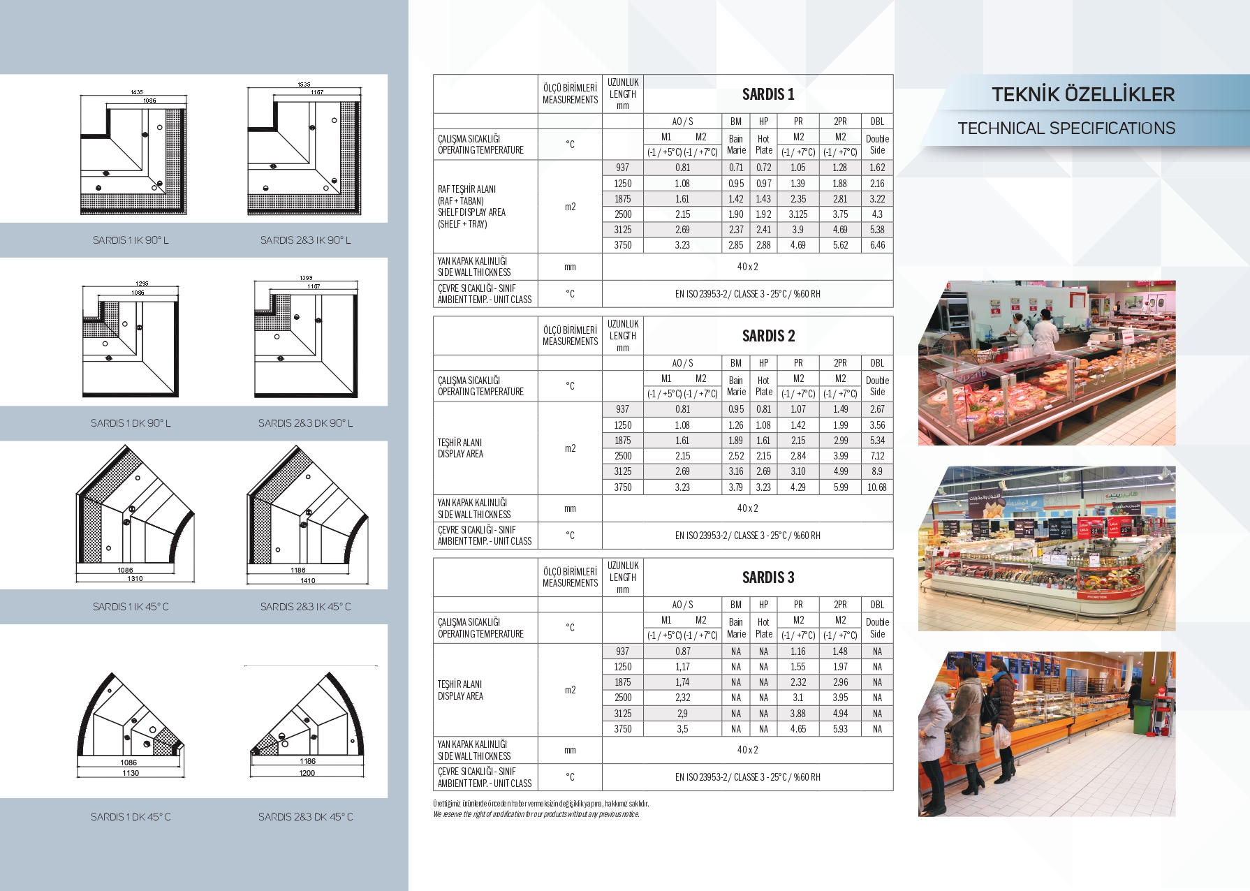 Efe Reyon | Sardis BM&HP