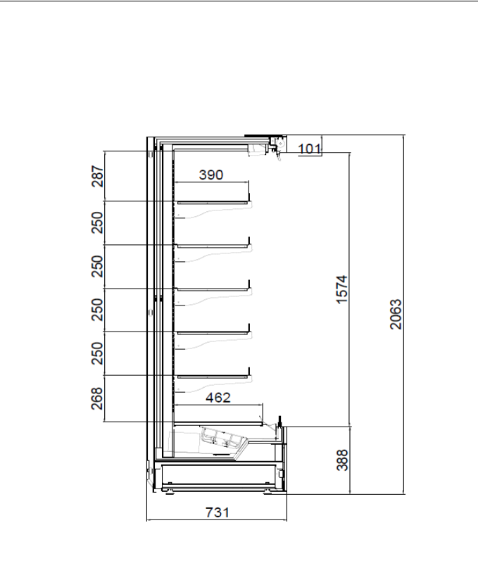 Efe Reyon | Venus M/L
